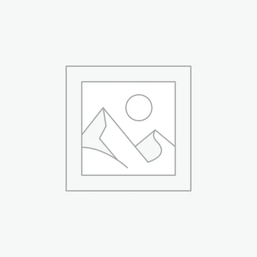 woocommerce-placeholder Store Template